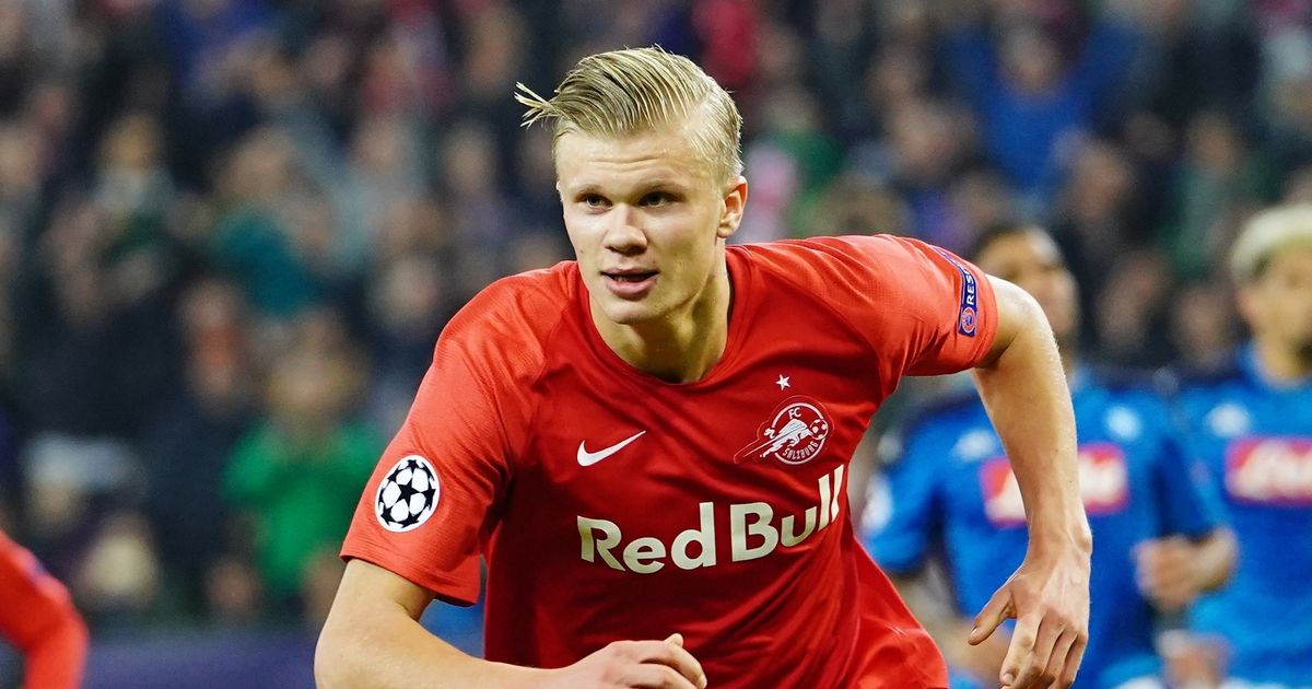 本季鹈鹕当 本季鹈鹕当